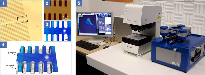 AFM & Confocal Laser Scanning Microscopy