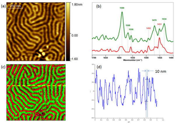 Block co-polymer Tapping AFM-IR