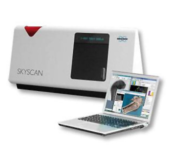Bruker SkyScan 1174 micro-CT