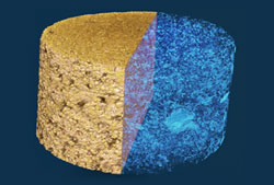 Sandstone micro-ct tomography
