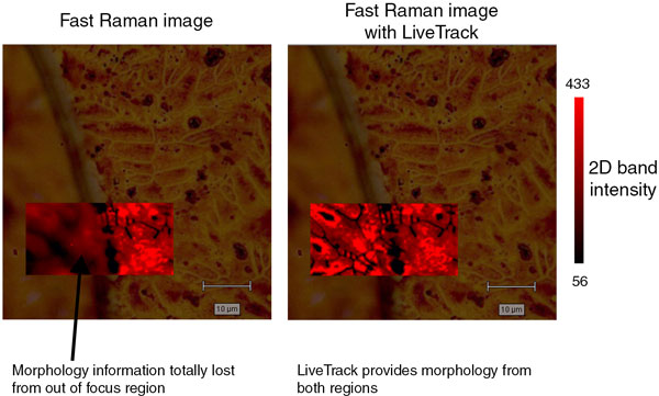 Raman image with morphology