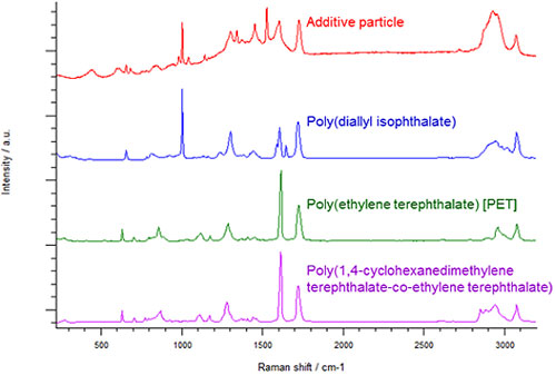 Polymer Spectra